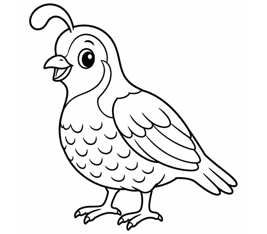 Quail coloring page