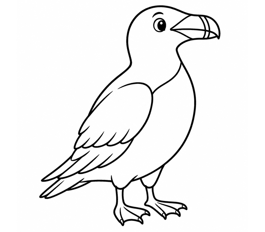 Razorbill coloring page