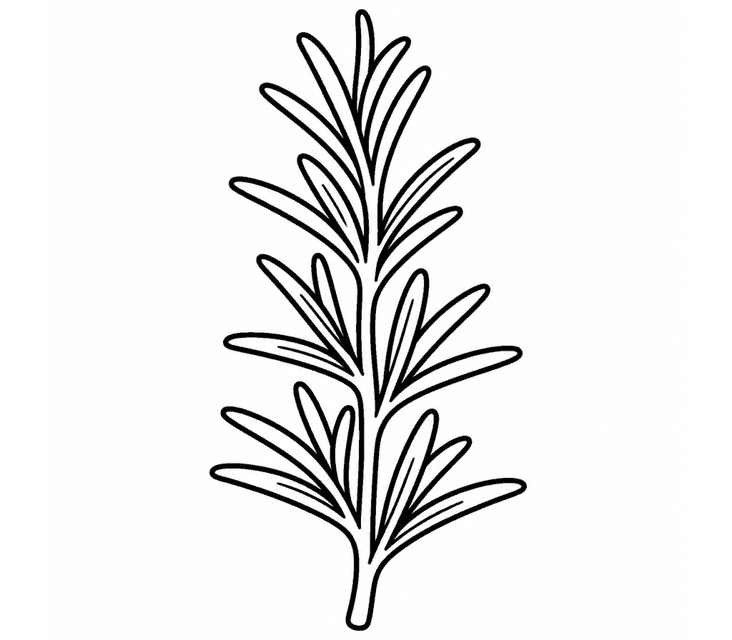 Rosemary coloring page