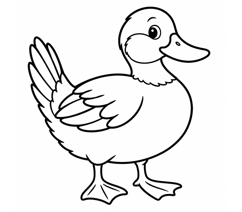 Ruddy Duck coloring page