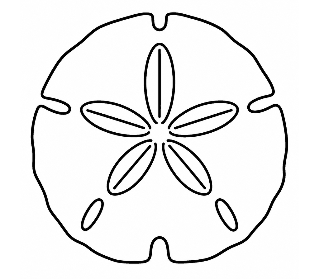 Sand Dollar coloring page