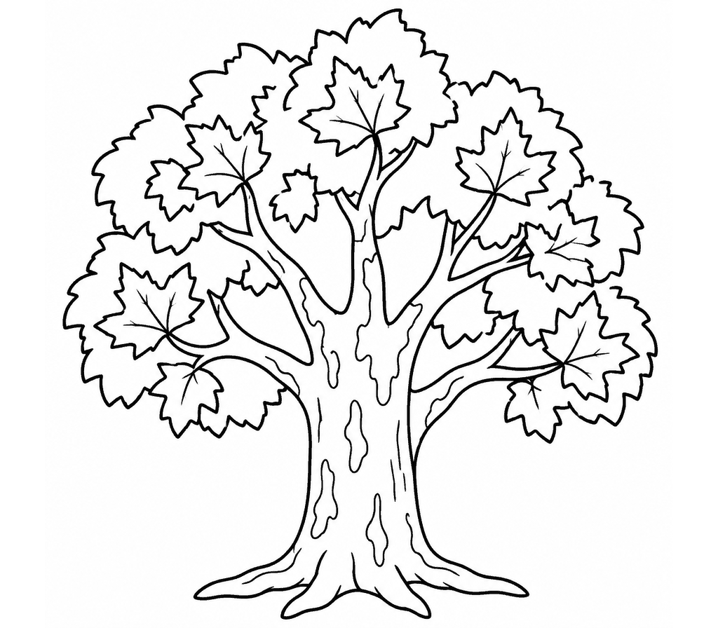 Sycamore coloring page