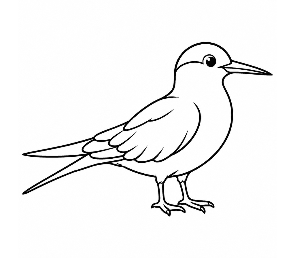 Tern (Arctic) coloring page