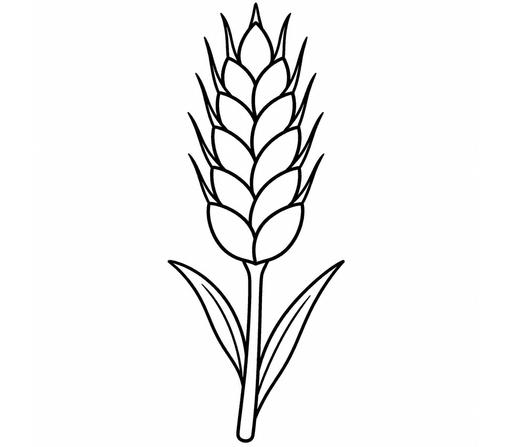 Wheat coloring page