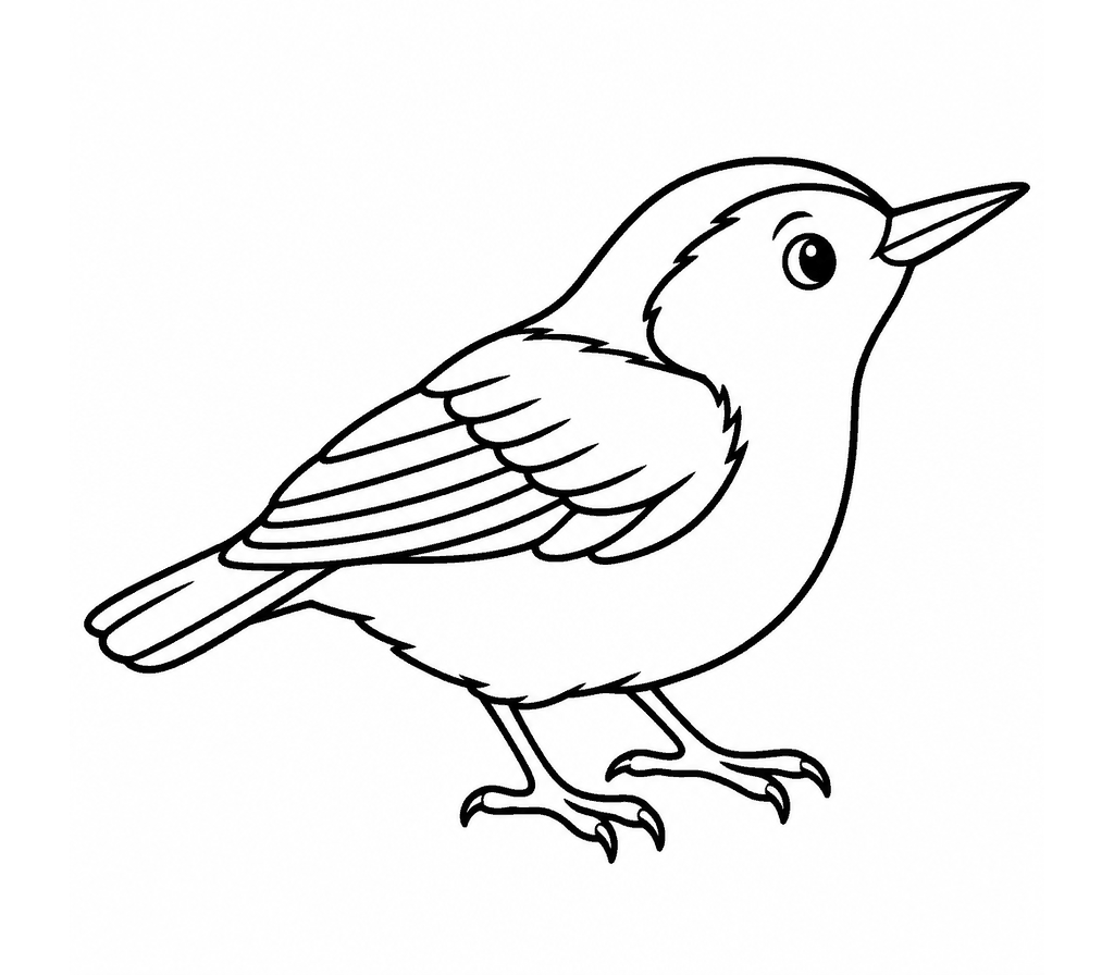White-breasted Nuthatch coloring page
