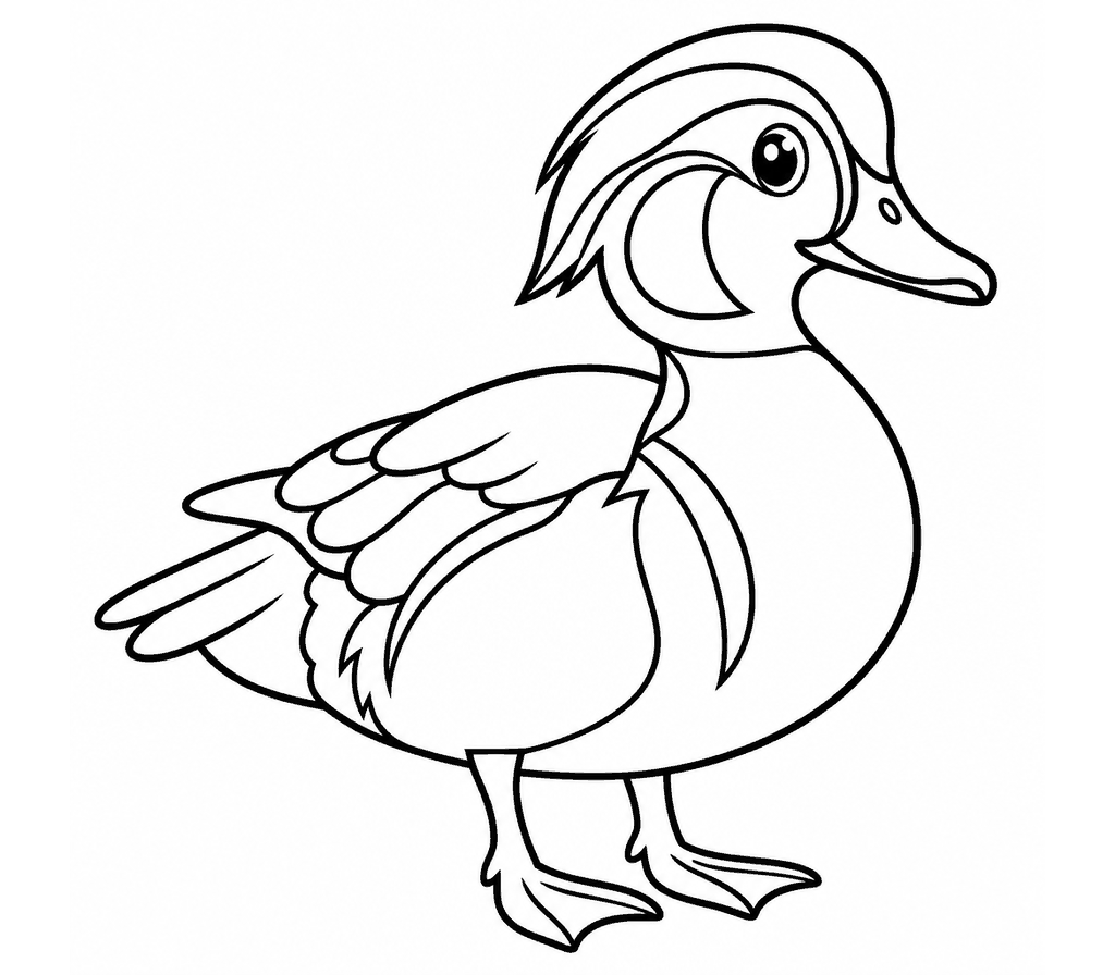 Wood Duck coloring page